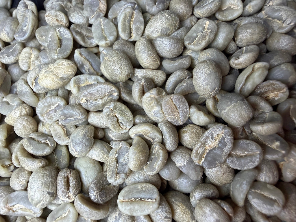 Evergreen Blend