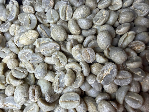 Evergreen Blend
