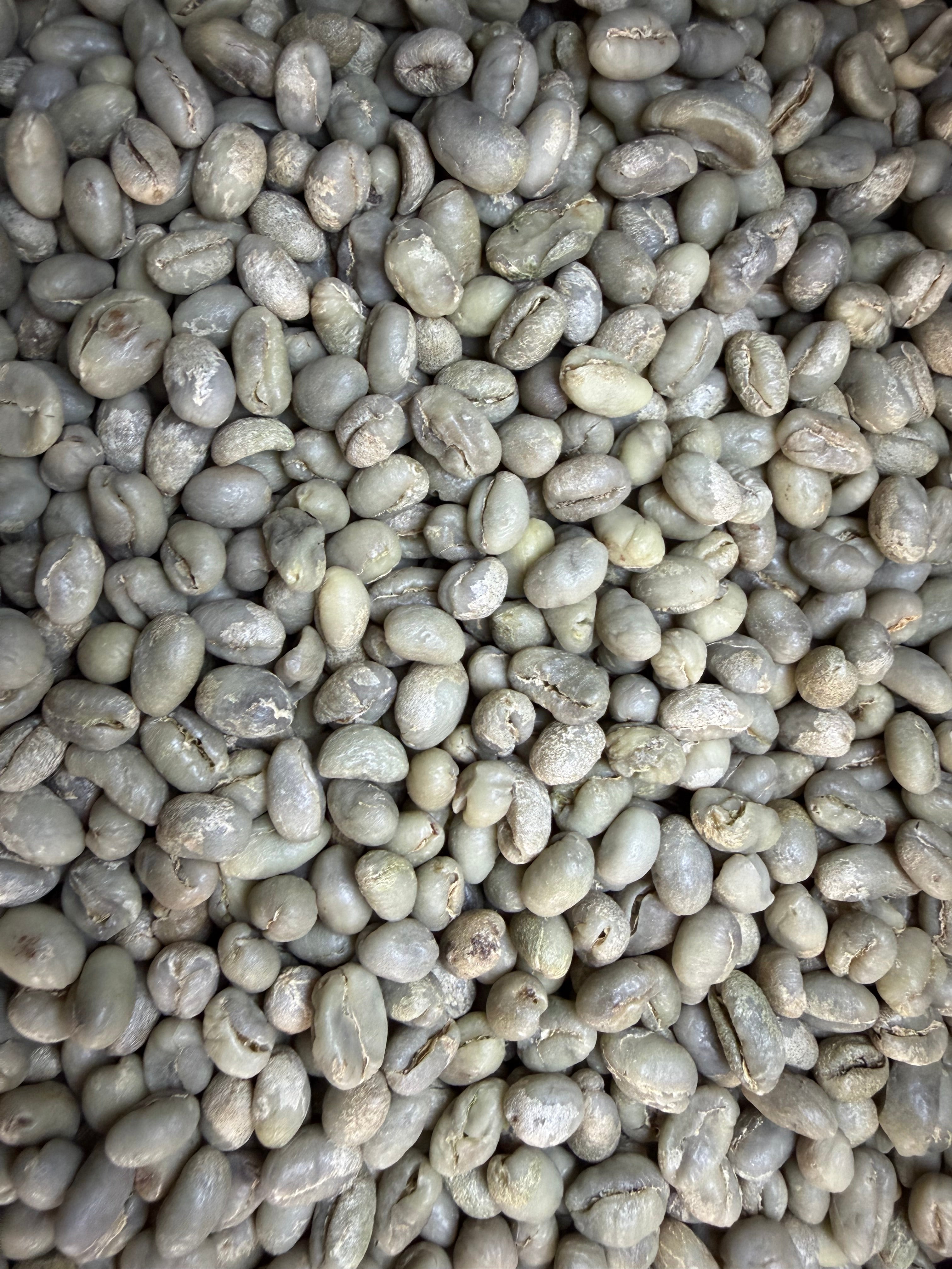 Zambia Kateshi Peaberry · Washed
